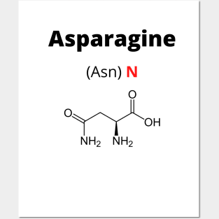 Amino acid Asparagine Posters and Art